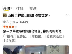 -西霞口神雕山野生动物世界