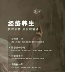 -玛莲朵·海菲秀冰珀科