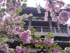 -西安青龙寺遗址景区