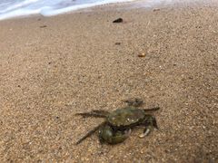 -威海香海豪生度假酒店·豪生咖啡厅