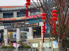 -浦江城市生活广场(江月路店)