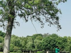 -合肥三国新城遗址公园