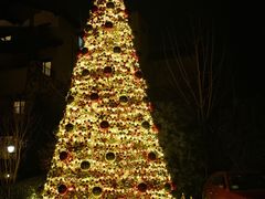 -浙江安吉JW万豪酒店·万豪中餐厅