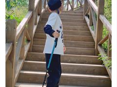 -大岭沟猕猴桃谷风景区