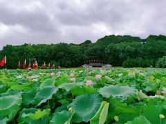 -古田会议纪念馆