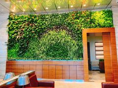 -贾特拉帕蒂·希瓦吉国际机场