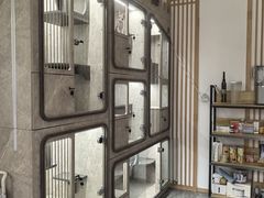 -山宅一喵德文卷毛猫舍