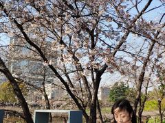 -嘉定紫藤园