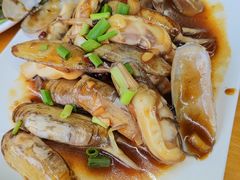 肥硕的蛏子-双湖农庄