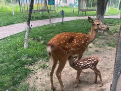 -水上乐园·欢乐世界