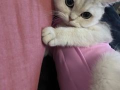 -深圳野生动物园宠物医院(西湖林语店)