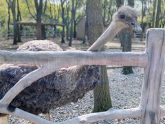 -昆山城市生态森林公园