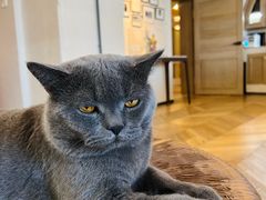 -Me Coffee下午茶艺术空间