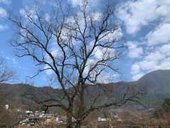 -塔川景区
