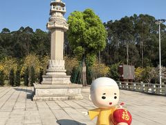 -三水森林公园