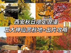 -西安贾三灌汤包·回坊小吃·清真炒菜(北院门总店)