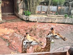 -长鹿旅游休博园