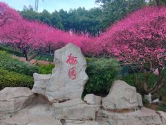 -重庆彩云湖湿地公园