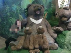 -济州岛泰迪熊博物馆