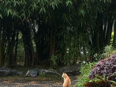 -顺峰山公园