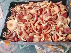 -云南野生菌石锅鱼石锅鸡(大金塔店)
