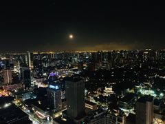 -新加坡瑞士史丹福酒店