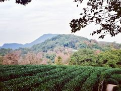 -西湖风景区十里琅珰-五云山