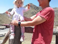 -新疆天山野生动物园