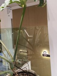 -海菲秀黑钻·SELF SKIN悦己·Tech SPA