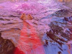 -春晖园度假酒店温泉