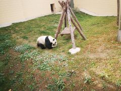 -石家庄市动物园