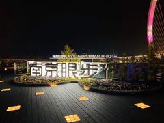 -南京眼步行桥
