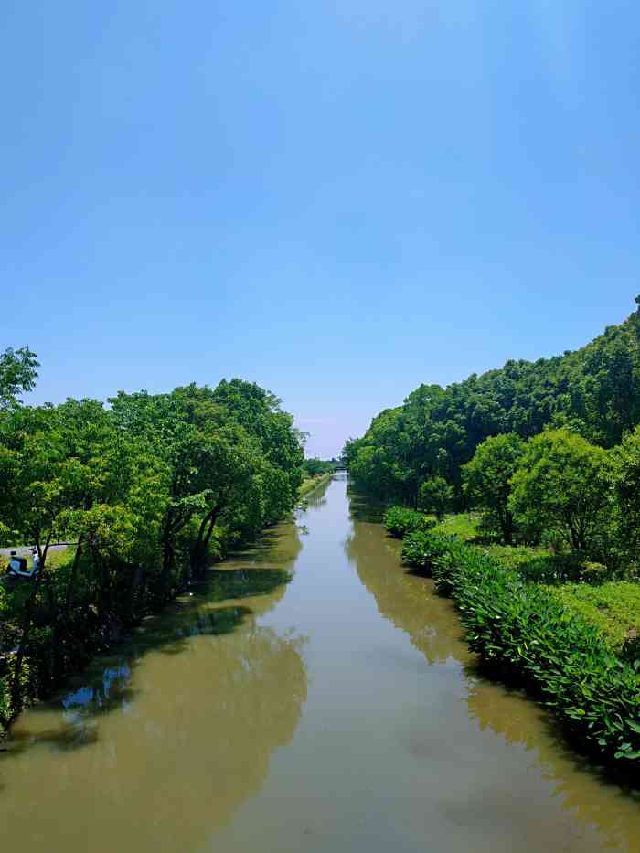 松南郊野公園-