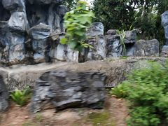 -清迈夜间动物园