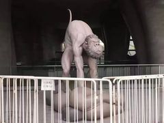 -证大喜玛拉雅中心