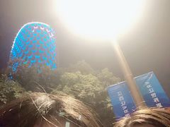 -嘉莱特和平国际酒店自助餐