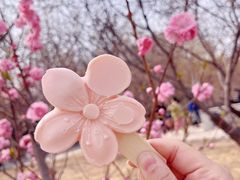 -桃花堤公园