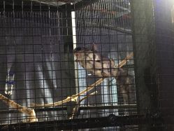 -酷嗒动物文化乐园(cutezoo西溪乐天城店)