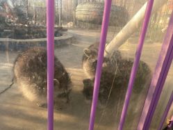 -萌宠亲子动物乐园(槐房万达店)