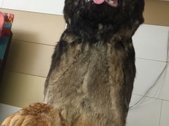 -南宁时代电影大世界(CGS激光中国巨幕)