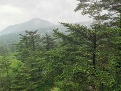 -峨眉山风景名胜区