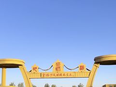 -金塔沙漠胡杨林景区