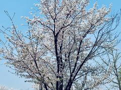 -钱塘江