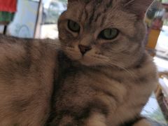 -平行世界·猫咖(首经贸店)