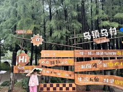 -乌村