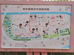 -高东镇樱花园