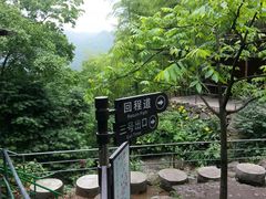 -藏龙百瀑风景区