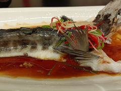南极冰鱼-白家餐厅(徐家汇店)