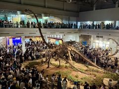 -自贡恐龙博物馆
