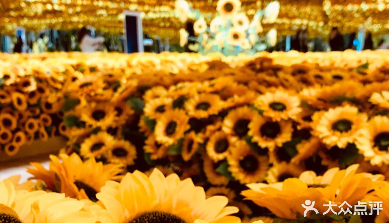 北京看展｜梵高的向日葵